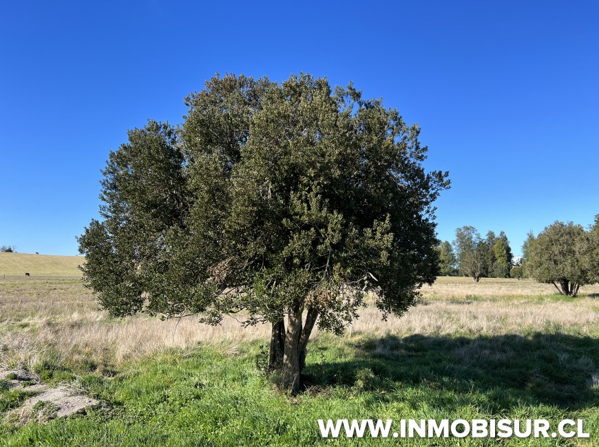 Venta en Puerto Varas | Parcelas agroresidenciales a la venta en Nueva Braunau, Puerto Varas