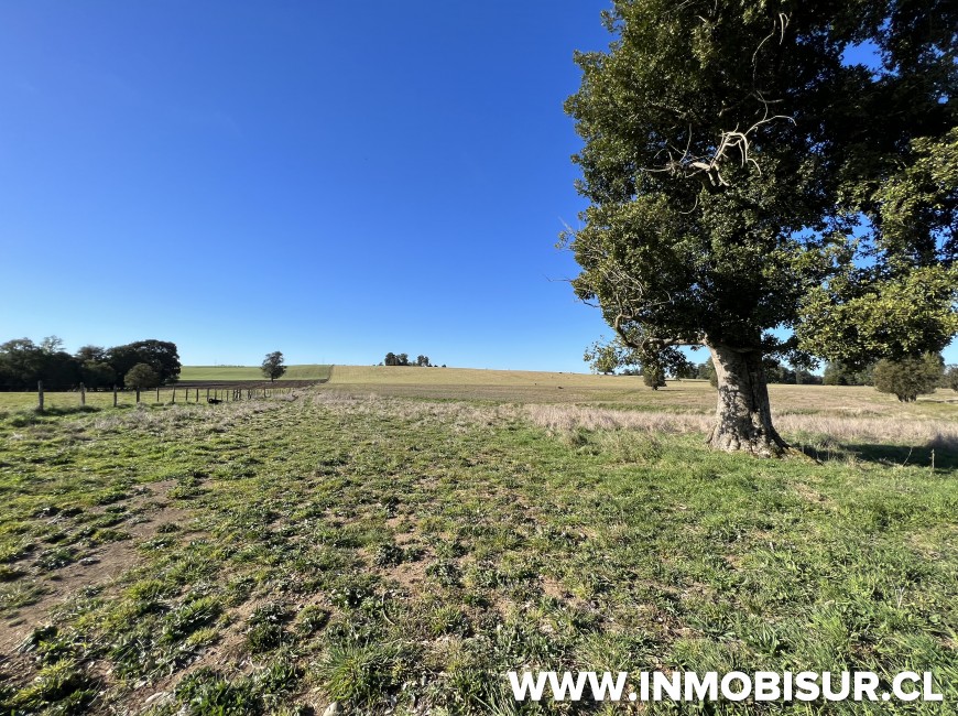 Venta en Puerto Varas | Parcelas agroresidenciales a la venta en Nueva Braunau, Puerto Varas