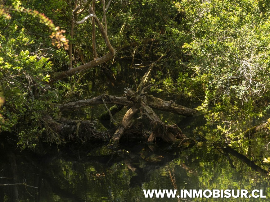 Venta en Puerto Varas | Parcelas en Praderas del Maullin