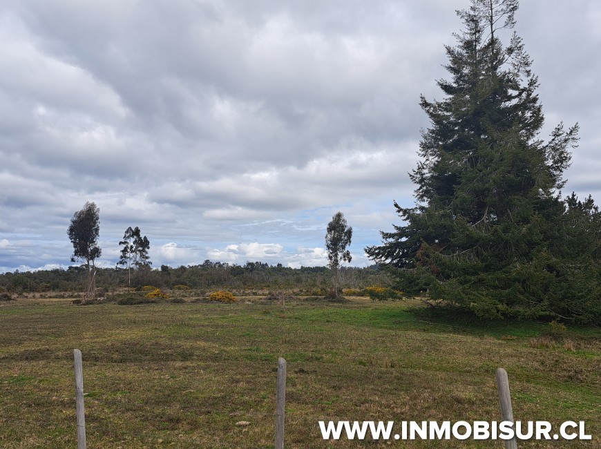 Venta en Ancud | Parcelas en sector Manao, Ancud Chiloé.