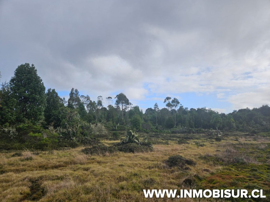 Venta en Puerto Montt | Parcelas en venta Colaco