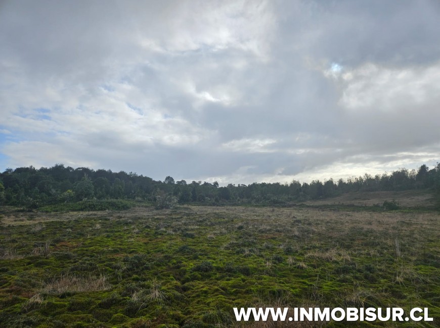 Venta en Puerto Montt | Parcelas en venta Colaco