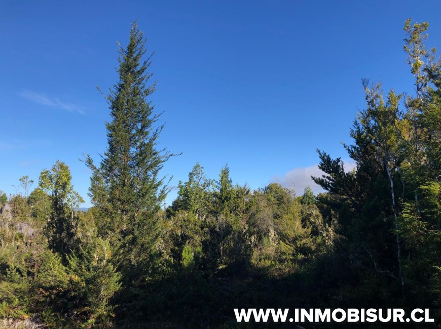 Venta en Puerto Varas | Parcelas en venta en Condominio Bosques de Molino Viejo