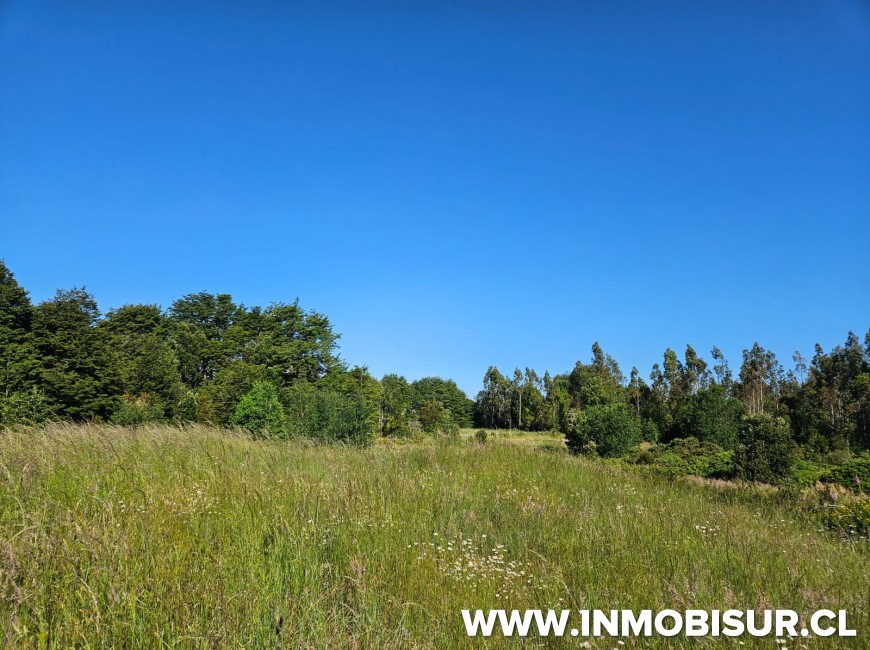 Venta en Puerto Varas | Parcelas en venta en parcelación Los Arrayanes