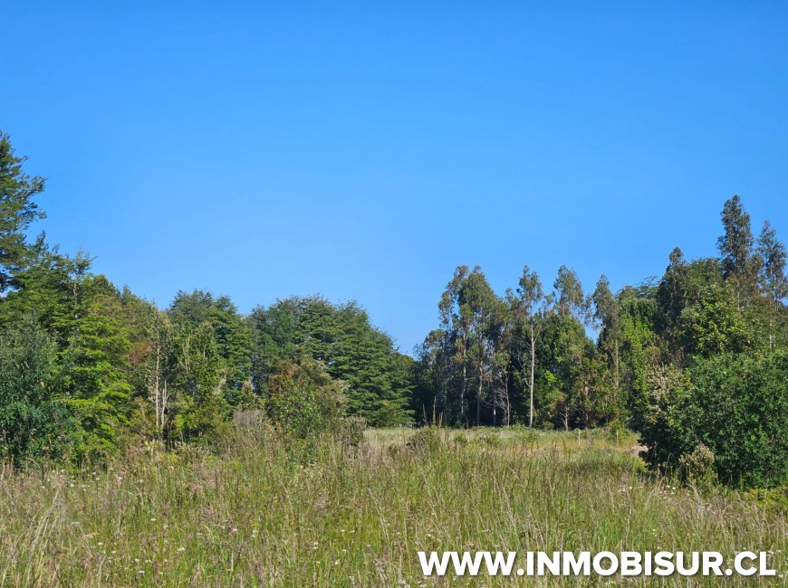 Venta en Puerto Varas | Parcelas en venta en parcelación Los Arrayanes