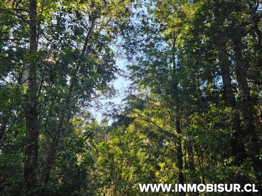 Venta en Puerto Varas | Parcelas en venta en parcelación Los Arrayanes