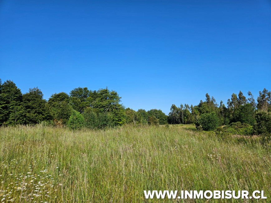 Venta en Puerto Varas | Parcelas en venta en parcelación Los Arrayanes