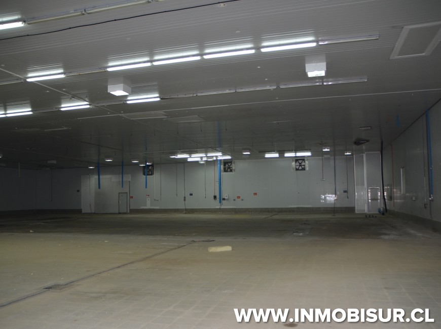 Venta en Chonchi | Planta de proceso en Chonchi