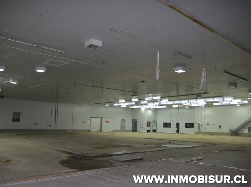 Venta en Chonchi | Planta de proceso en Chonchi