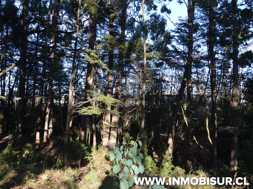 Venta en Puerto Montt | Sitio Urbano en La Vara