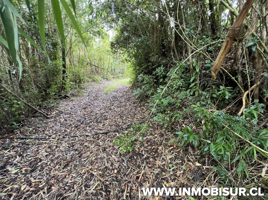 Venta en Puerto Varas | Terreno de 10,4 Ha camino al Volcán Osorno, Ensenada