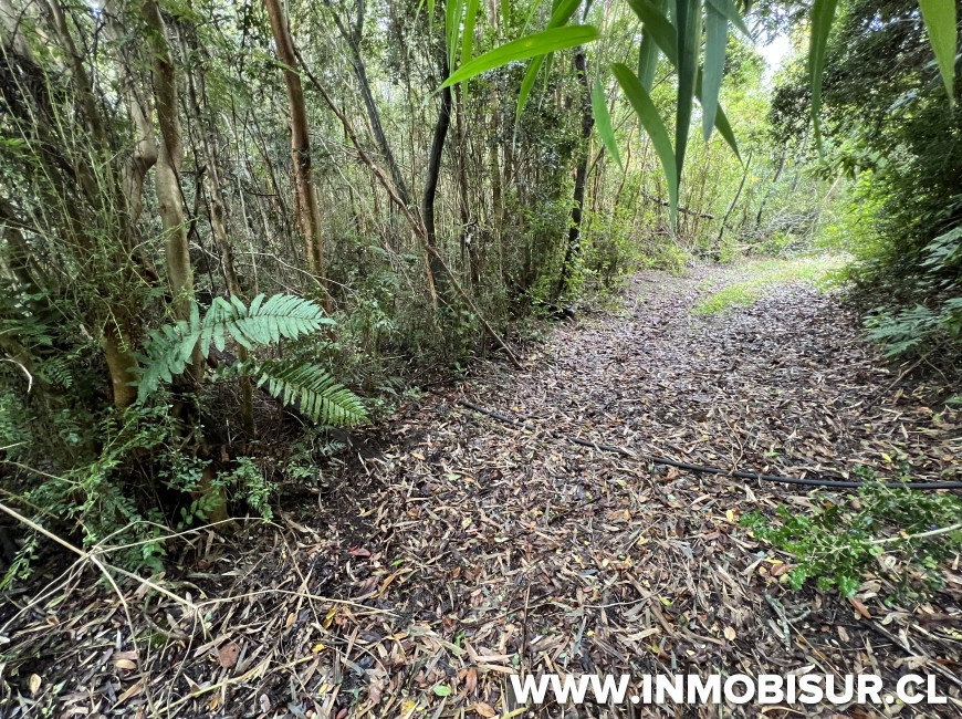 Venta en Puerto Varas | Terreno de 10,4 Ha camino al Volcán Osorno, Ensenada