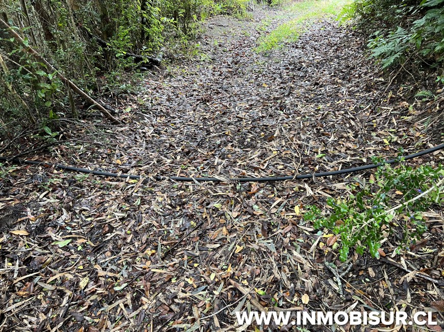 Venta en Puerto Varas | Terreno de 10,4 Ha camino al Volcán Osorno, Ensenada