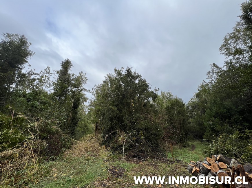 Venta en Puerto Varas | Terreno de 10,4 Ha camino al Volcán Osorno, Ensenada