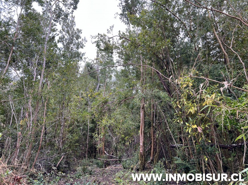 Venta en Puerto Varas | Terreno de 10,4 Ha camino al Volcán Osorno, Ensenada