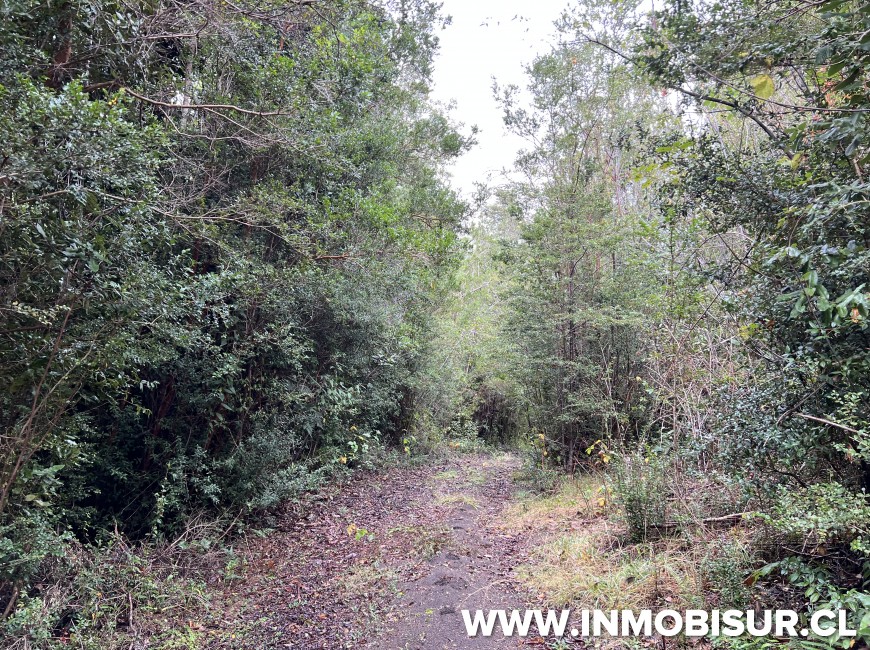 Venta en Puerto Varas | Terreno de 10,4 Ha camino al Volcán Osorno, Ensenada