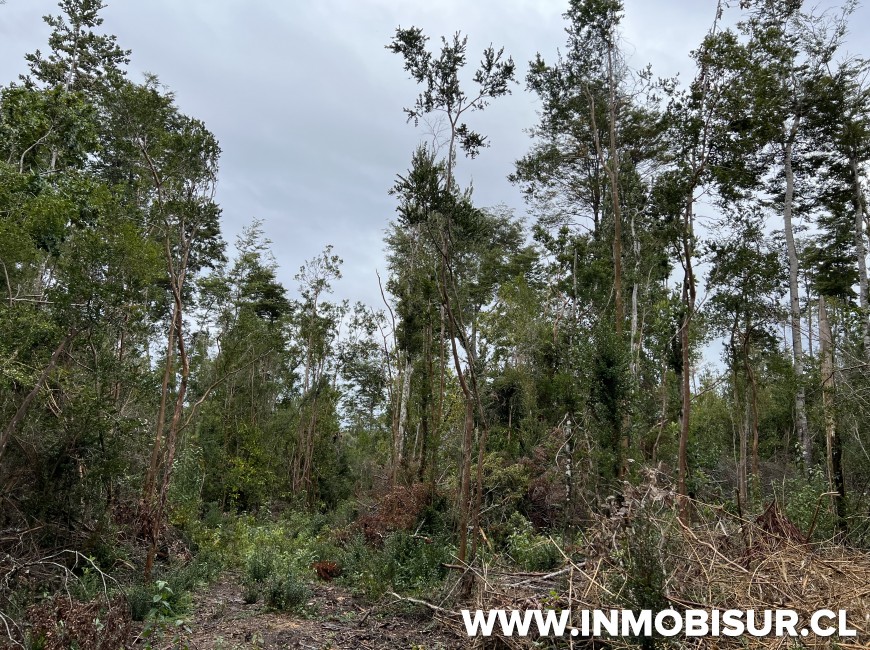 Venta en Puerto Varas | Terreno de 10,4 Ha camino al Volcán Osorno, Ensenada