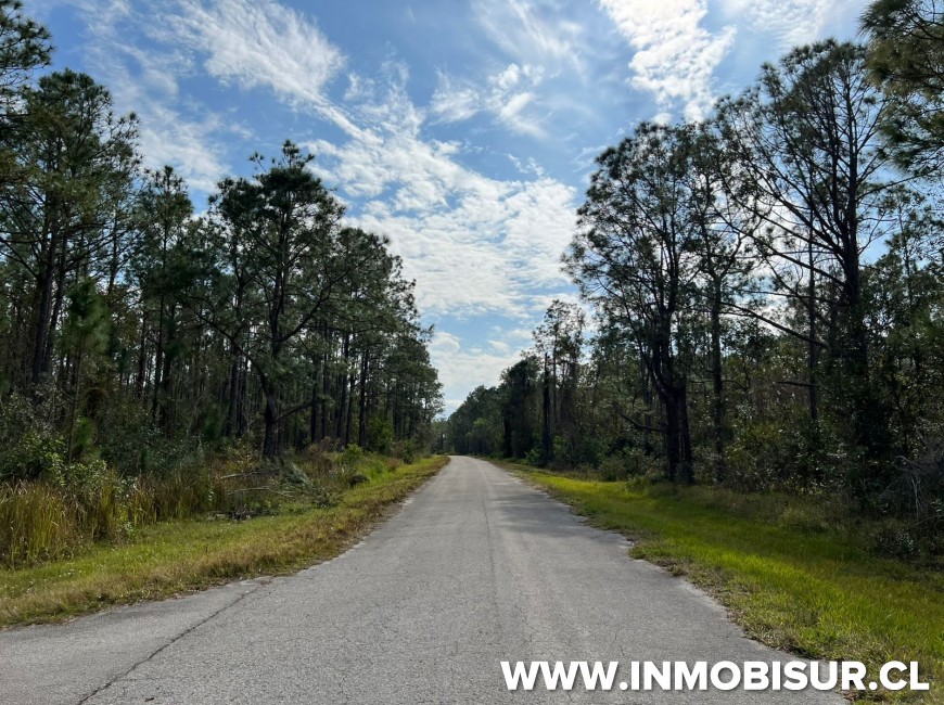 Venta en Puerto Montt | Terrenos para inversión en USA