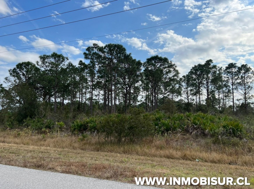 Venta en Puerto Montt | Terrenos para inversión en USA