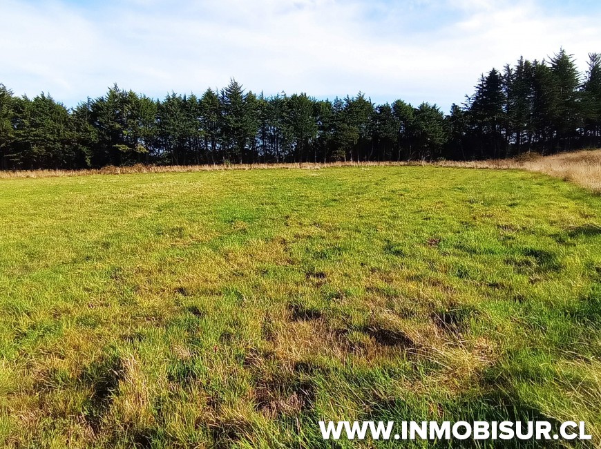 Venta en Llanquihue | Linda parcela en venta con vista a los Volcanes