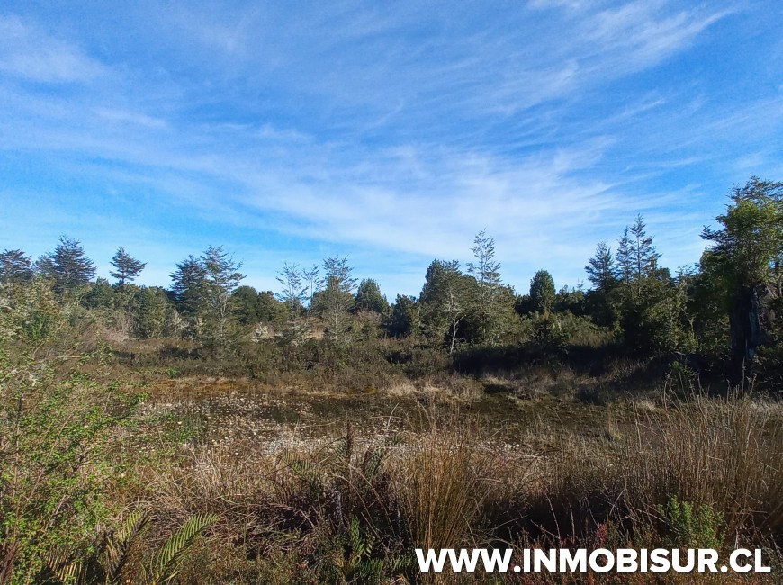 Venta en Puerto Montt | VENTA DE PARCELA EN CONDOMINIO LOMAS DE MONTE VERDE