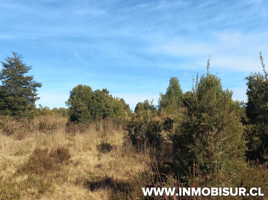 Venta en Puerto Montt | VENTA DE PARCELA EN CONDOMINIO LOMAS DE MONTE VERDE