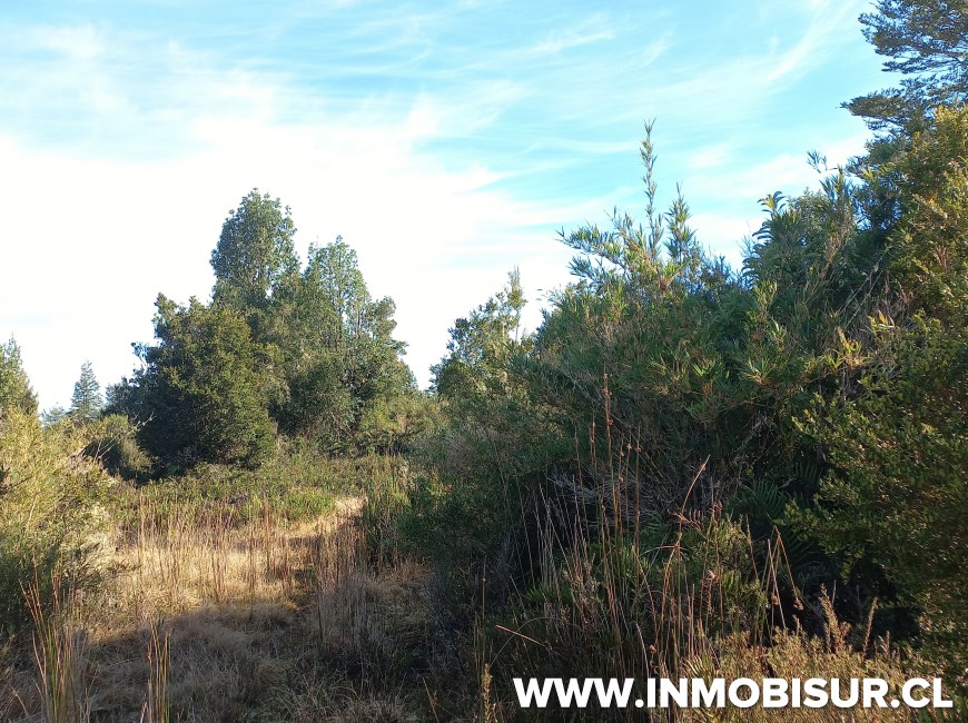 Venta en Puerto Montt | VENTA DE PARCELA EN CONDOMINIO LOMAS DE MONTE VERDE