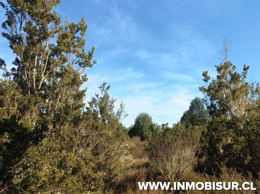 Venta en Puerto Montt | VENTA DE PARCELA EN CONDOMINIO LOMAS DE MONTE VERDE