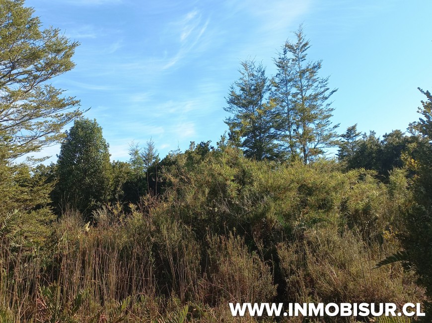 Venta en Puerto Montt | VENTA DE PARCELA EN CONDOMINIO LOMAS DE MONTE VERDE