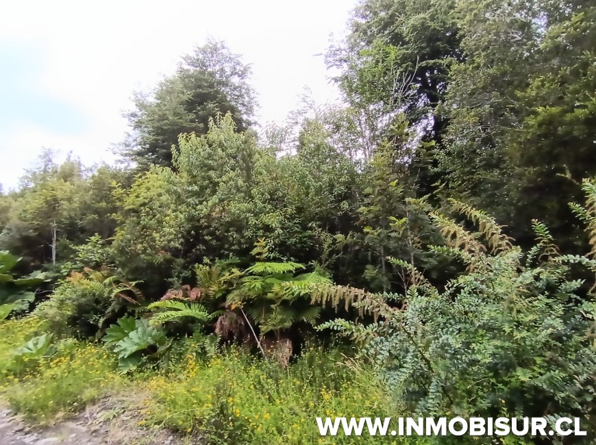Venta en Puerto Montt | Venta de Parcela en Lago Chapo