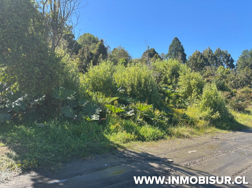Venta en Puerto Montt | Venta de terreno frente al mar en Panitao