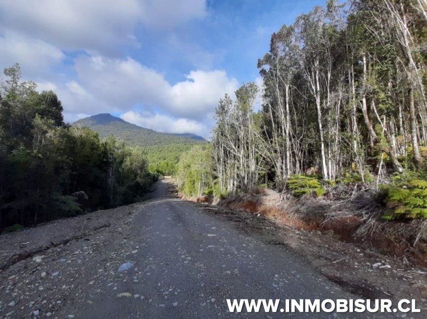 Venta en Puerto Montt | Venta Parcela Altos del Pangal
