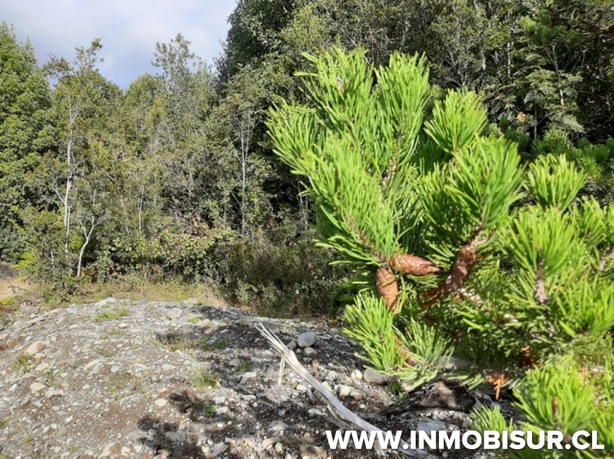 Venta en Puerto Montt | Venta Parcela Altos del Pangal