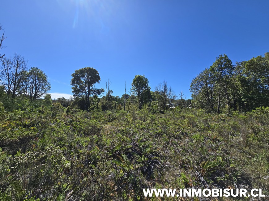 Venta en Puerto Montt | Venta parcela en Lomas de Coihuin