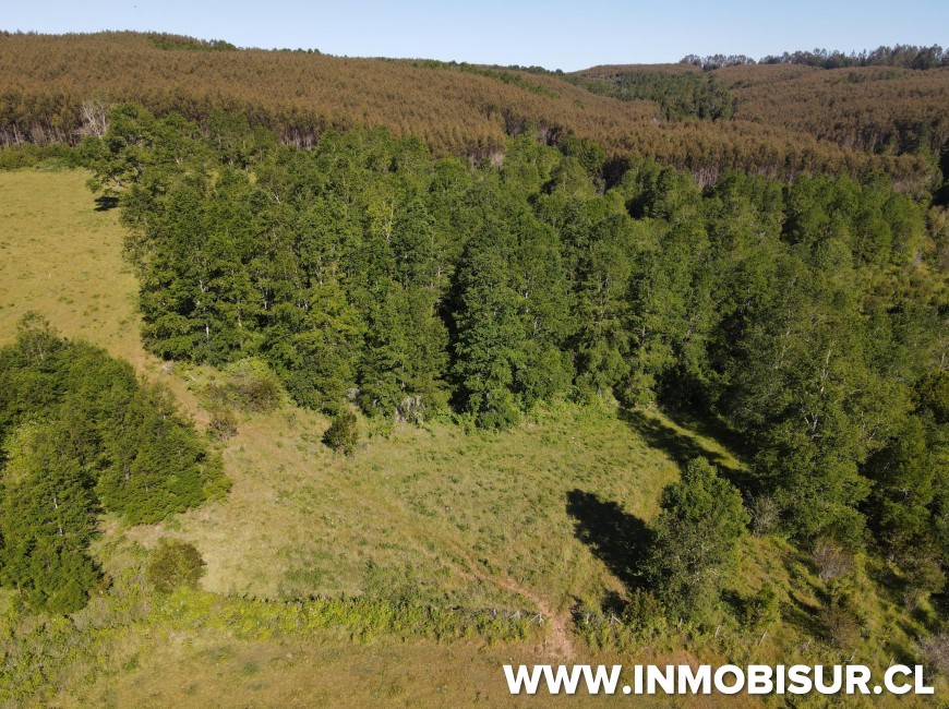 Venta en Fresia | Venta parcelas en Fresia