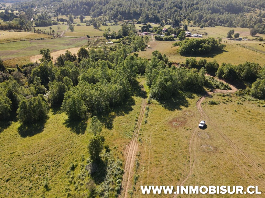 Venta en Fresia | Venta parcelas en Fresia