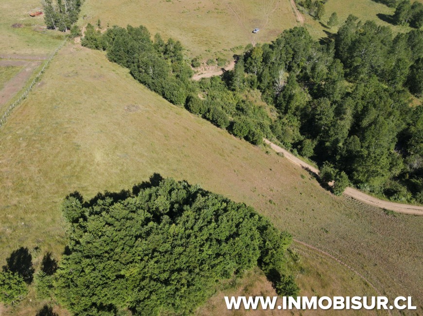 Venta en Fresia | Venta parcelas en Fresia