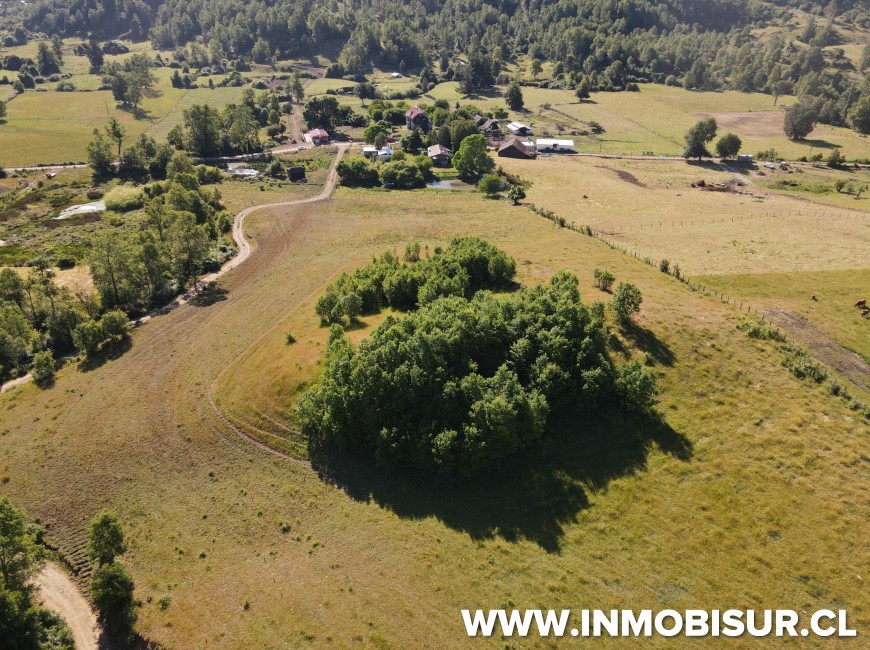 Venta en Fresia | Venta parcelas en Fresia