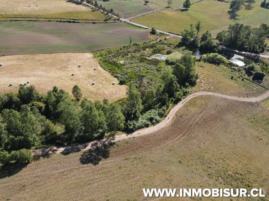 Venta en Fresia | Venta parcelas en Fresia