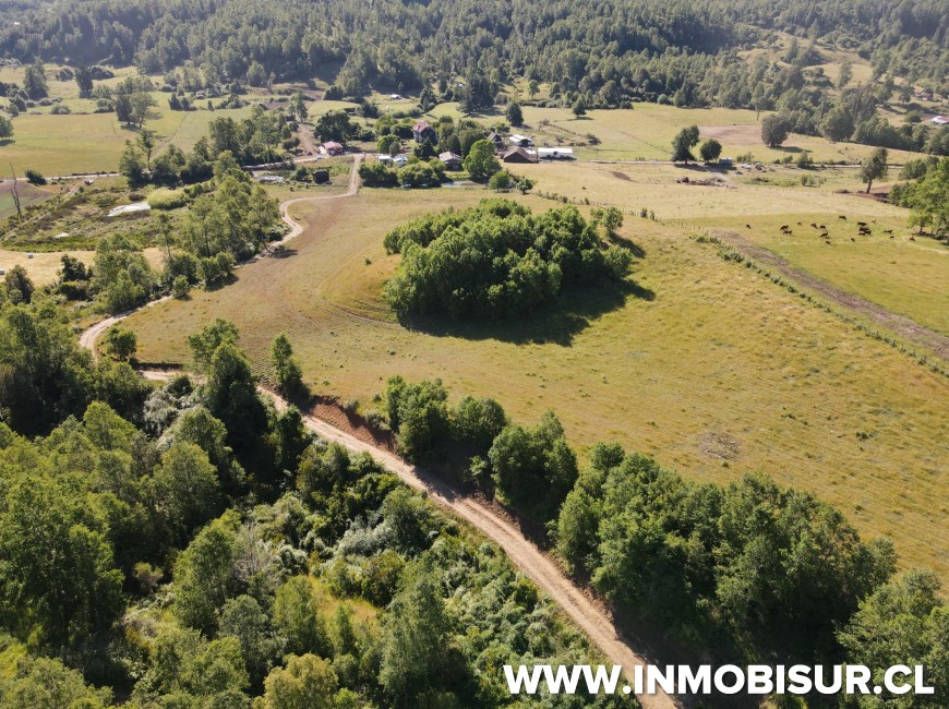 Venta en Fresia | Venta parcelas en Fresia