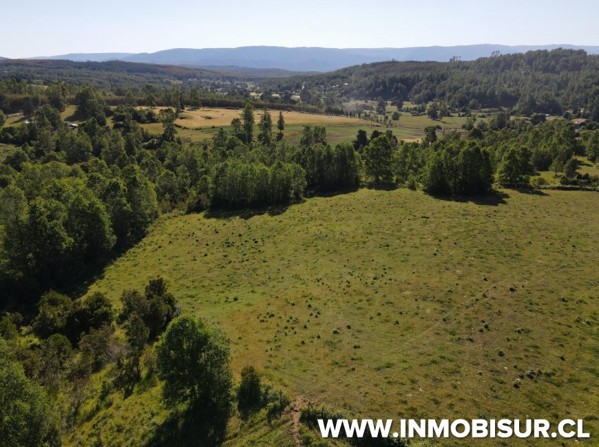 Venta en Fresia | Venta parcelas en Fresia