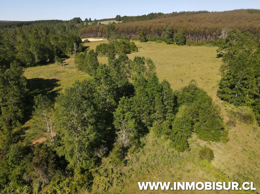 Venta en Fresia | Venta parcelas en Fresia