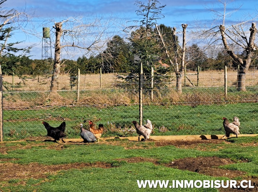 Venta en Puerto Varas | Venta propiedad turística a orillas del río Maullin