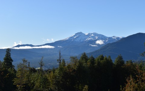 Venta en Puerto Montt | Venta hermoso campo de Bosque Nativo en Puerto Montt en 251 | Venta hermoso campo de Bosque Nativo en Puerto Montt