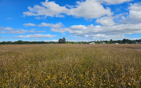 Venta en Frutillar | Espectacular parcela a la venta en Cumbres de Frutillar en 259 | Espectacular parcela a la venta en Cumbres de Frutillar