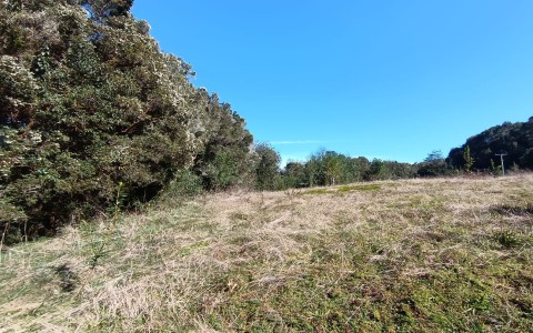 Venta en Puerto Montt | Hermosa parcela en Proyecto Pillan Mahuida, sector Polincay - Correntoso en 251 | Hermosa parcela en Proyecto Pillan Mahuida, sector Polincay - Correntoso