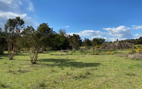 Venta en Cochamó | Hermosa parcela en Puelo en 253 | Hermosa parcela en Puelo