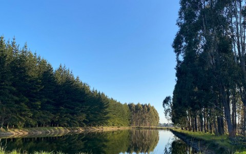 Venta en Frutillar | Hermosa parcela en venta en Condominio Alto de Frutillar en 259 | Hermosa parcela en venta en Condominio Alto de Frutillar