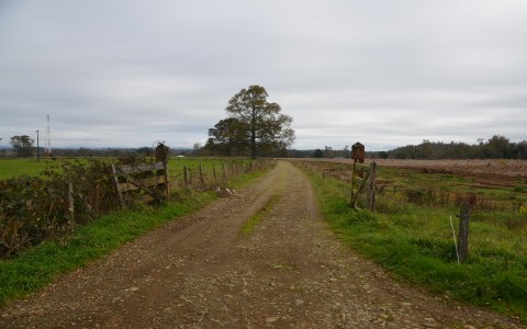 Venta en Los Muermos | Hermoso campo en Rio Frio. en 256 | Hermoso campo en Rio Frio.