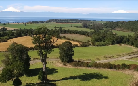 Venta en Frutillar | Loteo Alto los Colonos, Frutillar en 259 | Loteo Alto los Colonos, Frutillar